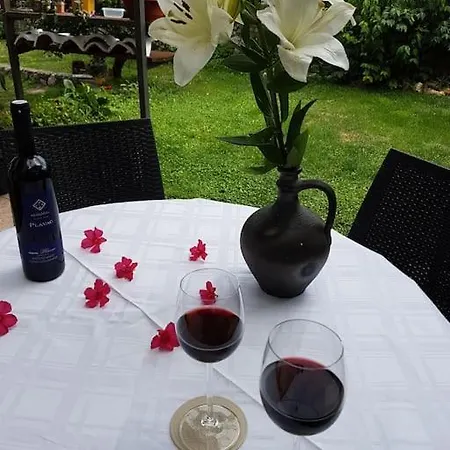 Apartmán Zelena Oaza *